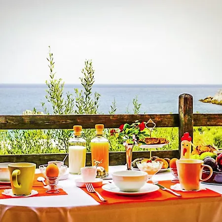 Beachfront Pelion Getaways - Palia شقة *